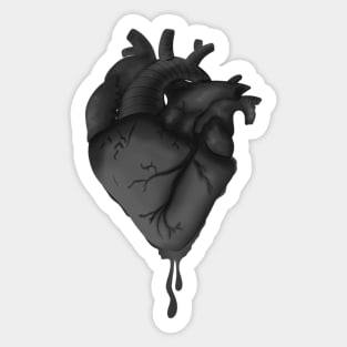 Anatomical Heart - Black and White Sticker